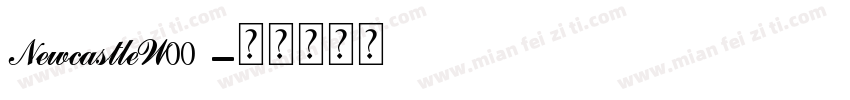 NewcastleW00 字体转换